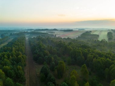 Canlı kırsal alanda nemli, sisli bir sabah.
