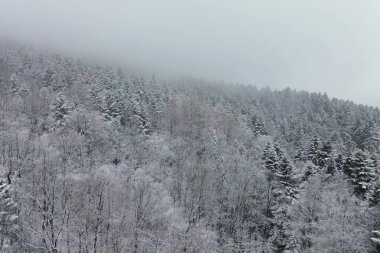 Kış mevsiminde karla kaplı ağaçlar ve kırsal bölgeler