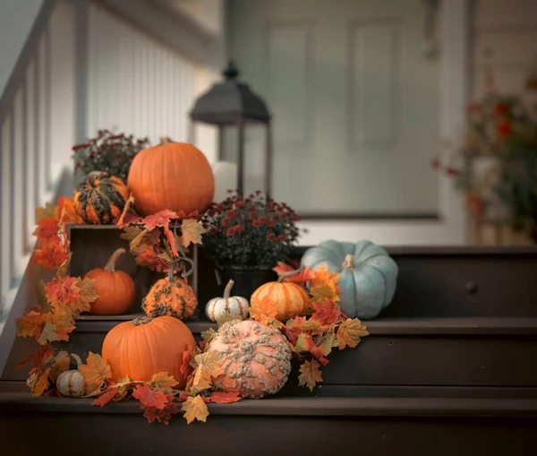 Fall Displayed Pumpkins Autumn Leaves Front Steps — Stock Photo, Image