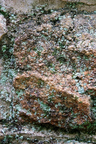 Green Lichen Growing Rough Patterned Rock Face — Stock Photo, Image
