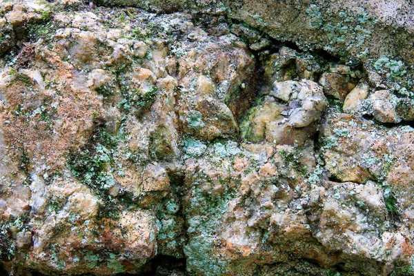 Lichen Verde Creciendo Cara Roca Con Dibujos Ásperos — Foto de Stock
