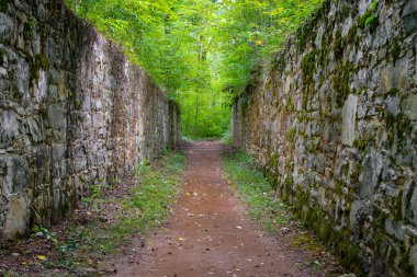 Güney Carolina 'daki Catawba Nehri boyunca orman tepe örtülü eski kanal duvarları.
