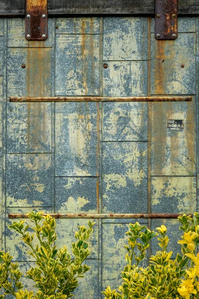 Acabado Descolorido Puerta Corredera Metal Con Arbustos Verdes Amarillos —  Fotos de Stock