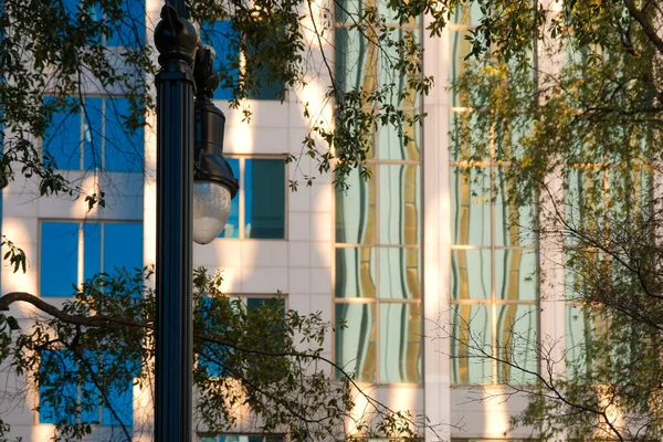 高層ビルの窓からの反射の前で葉やきれいな街路灯に囲まれた木 — ストック写真