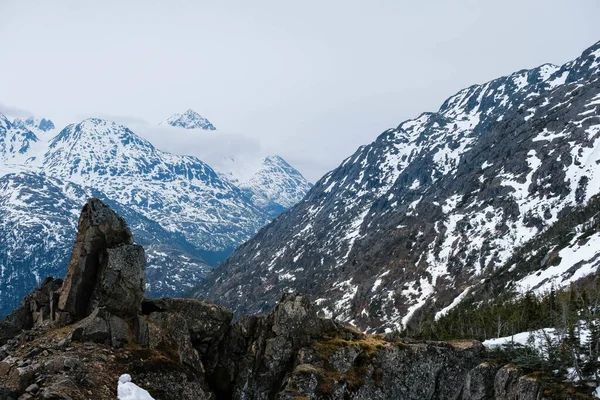 雪に覆われた山の上に低い雲がかかり 前には地衣類や大きな石があります — ストック写真