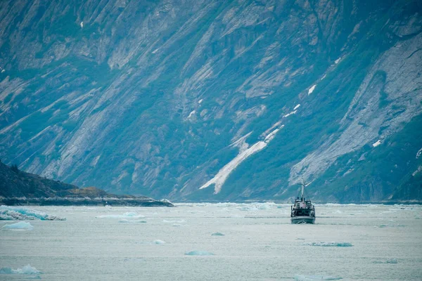 阿拉斯加Dawes冰川附近的 Endicott Arm 号上装有浮冰的船 — 图库照片