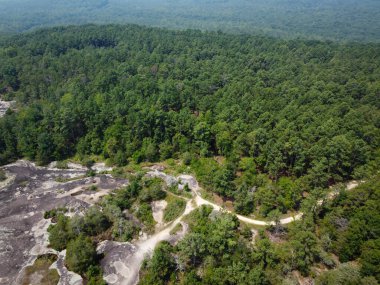 Güney Carolina, Kershaw tepelerindeki 40 dönümlük kayalıklarda yosun ve yosun örtüsü var.