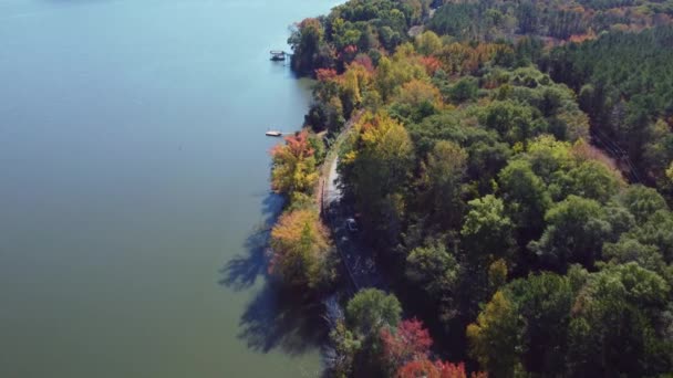 Tlačit Přes Auta Projíždějící Silnici Jezera Listy Otáčení Podzim — Stock video