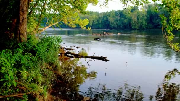 Vytrvale Tekoucí Řeka Catawba Jižní Karolíně Létě — Stock video