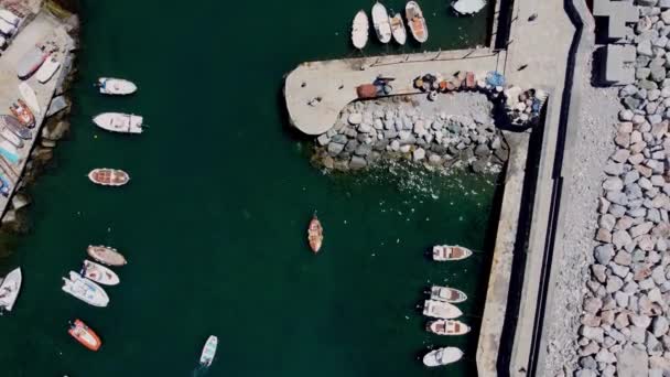 Veduta Aerea Rocce Barche Che Muovono Attraverso Arbaro Occupato Camogli — Video Stock