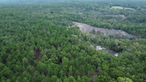 南卡罗来纳州40英亩岩石被树木环绕 — 图库视频影像