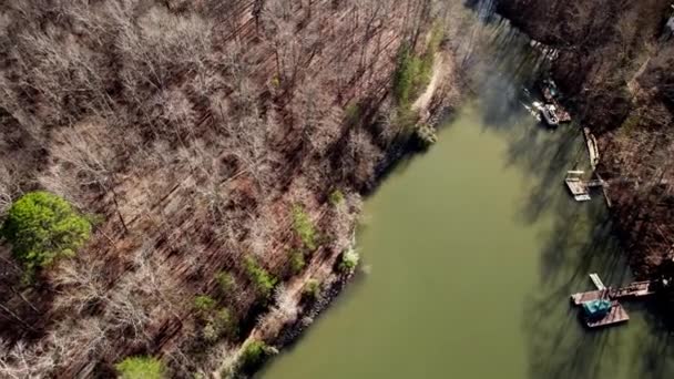 Stagnan Air Dan Pohon Pohon Telanjang Mengelilingi Sungai Dari Danau — Stok Video
