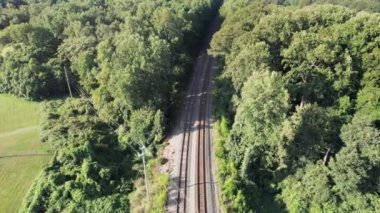 Demiryolu rayları sık ağaçlı ormana doğru ilerler.