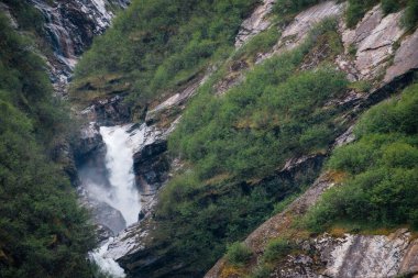 Endicott Arm, Alaska 'da kayalıkların üzerinden çağlayan su ve yemyeşil büyüme