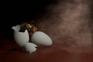 Sis ve örümceğin 3 boyutlu görüntüsü kırık yumurta kabuklu bir yaratık gibi.