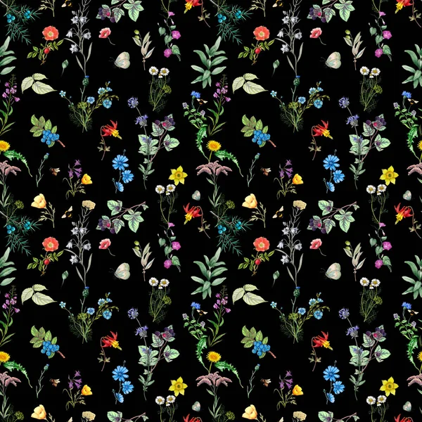 Botanický Květinový Vzor Akvarelu Divokých Květin Lesních Rostlin — Stock fotografie