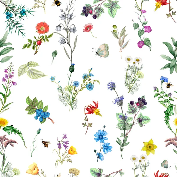 Botanisches Blumenmuster Aus Aquarell Wildblumen Und Waldpflanzen Stockbild