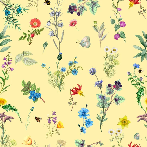 Botanický Květinový Vzor Akvarelu Divokých Květin Lesních Rostlin Royalty Free Stock Fotografie