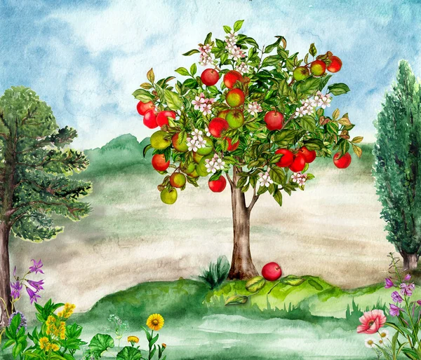 Watercolor Landscape Apple Tree Flowers Nature Illustration — Zdjęcie stockowe