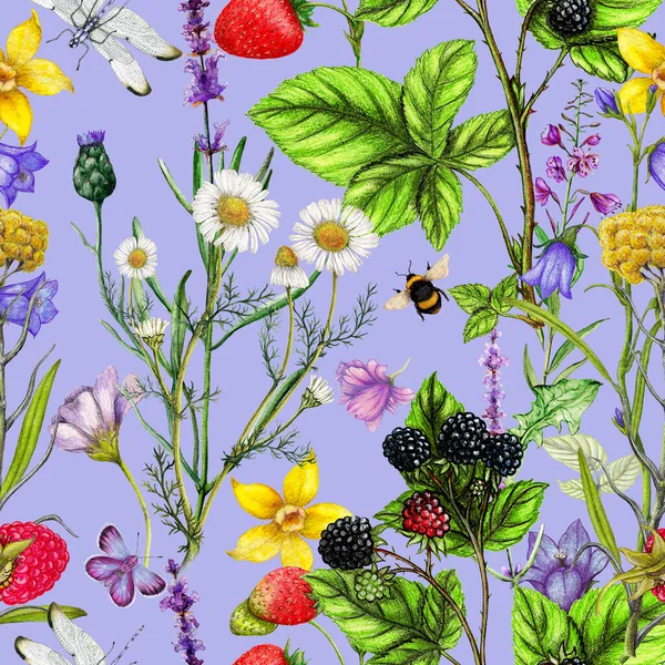 Ręcznie Rysowany Wzór Kwiatowy Jagodowy — Zdjęcie stockowe