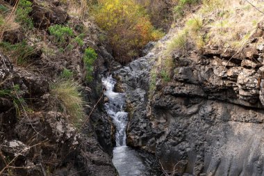 Mountain stream Meshushim. Nahal Meshushim. Rocks in the form of hexagonal basalt columns. Golan Heights. Israel.