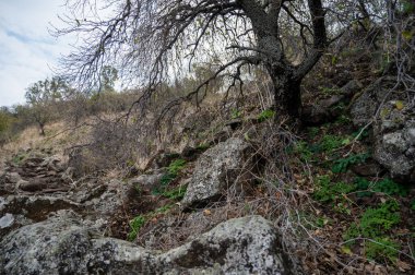Dağların yakınındaki büyük kaya ya da kayaların yakınında. Büyük, renkli granitler. Güneş ışığında parlayan turuncu parçacıkların olduğu büyük gri taş yapıların ayrıntıları. Sert desenli kum taşları