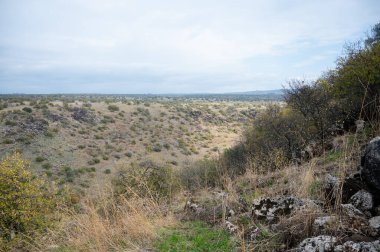 The Yehudiya Forest Reserve is a nature reserve in the central Golan Heights. Israel park.