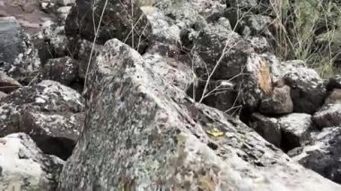 İsrail 'deki Akıntı ve gölet Meshushim yakınlarındaki dağlık bölgenin güzel manzarası. Golan' da güzel bir yer. Yüksek kalite 4k görüntü