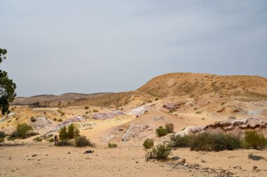 İsrail 'deki Negev Çölü' nde renkli kum ve bulutlu gökyüzü ile güzel kuru bir manzara. Yüksek çözünürlüklü.