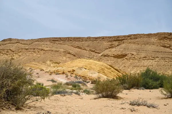 Vackert Torrt Landskap Med Färgglad Sand Och Molnig Himmel Negevöknen — Stockfoto