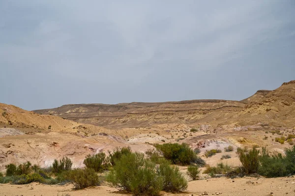 Красивый Сухой Пейзаж Красочным Песком Облачным Небом Пустыне Негев Израиле — стоковое фото