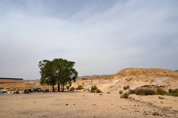 在内盖夫沙漠有桌子的阿博尔 让游客们放松一下 以色列的旅游业 — 图库照片