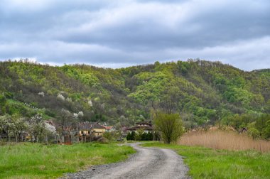 Sırbistan 'ın Tuna Nehri yakınlarındaki Cerdap Vadisi' nde bir köy. yüksek çözünürlüklü 