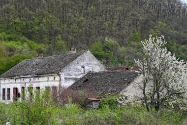 Harabe kiremit kaplı terk edilmiş eski bir köyün kalıntıları. Yüksek kalite fotoğraf