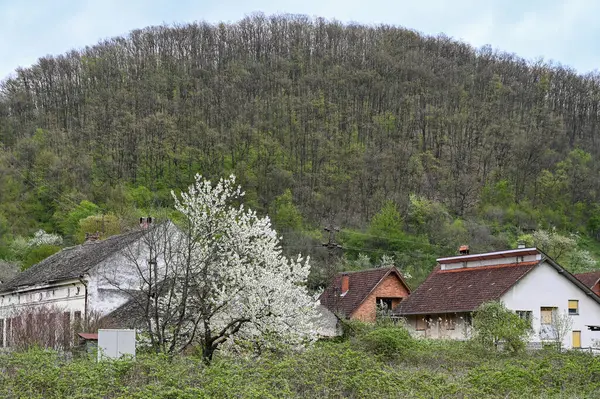 Pueblo Desfiladero Djerdap Cerca Del Río Danubio Serbia Una Alta — Foto de Stock
