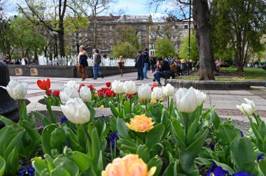Sofya, Bulgaristan - 15 Nisan 2023: Bulgaristan halkı. Vitosha yaya sokağı yaz boyunca bile tıklım tıklım. Yüksek kalite fotoğraf