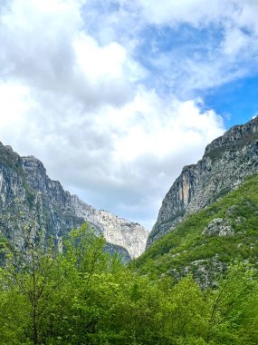 Karadağ. Durmitor Ulusal Parkı. Eyer Geçidi. Alp çayırları. Dağ manzarası. Popüler turist mekanı. Yüksek kalite fotoğraf