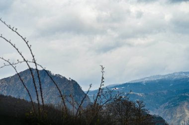 Dağ nehri ormanın içinden akar. Hızlı nehirde masmavi suyu olan güzel bir dağ manzarası. Dağların görkemli doğası. Yüksek kalite fotoğraf