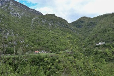 Karadağ. Durmitor Ulusal Parkı. Eyer Geçidi. Alp çayırları. Dağ manzarası. Popüler turist mekanı. Yüksek kalite fotoğraf