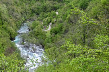 Dağ nehri ormanın içinden akar. Hızlı nehirde masmavi suyu olan güzel bir dağ manzarası. Dağların görkemli doğası. Yüksek kalite fotoğraf