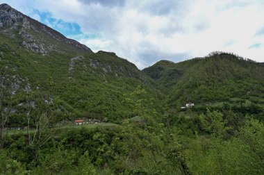 Karadağ. Durmitor Ulusal Parkı. Eyer Geçidi. Alp çayırları. Dağ manzarası. Popüler turist mekanı. Yüksek kalite fotoğraf