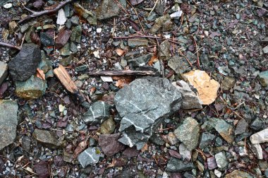 Karadağ. Durmitor Ulusal Parkı. Eyer Geçidi. Alp çayırları. Dağ manzarası. Popüler turist mekanı. Yüksek kalite fotoğraf