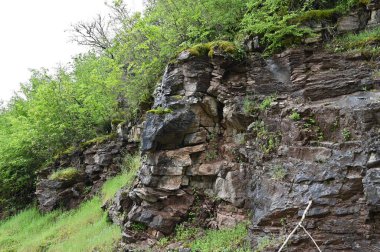 Karadağ. Durmitor Ulusal Parkı. Eyer Geçidi. Alp çayırları. Dağ manzarası. Popüler turist mekanı. Yüksek kalite fotoğraf