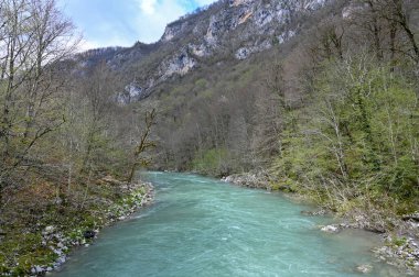 Dağ nehri ormanın içinden akar. Hızlı nehirde masmavi suyu olan güzel bir dağ manzarası. Dağların görkemli doğası. Yüksek kalite fotoğraf
