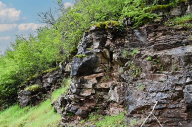 Karadağ. Durmitor Ulusal Parkı. Eyer Geçidi. Alp çayırları. Dağ manzarası. Popüler turist mekanı. Yüksek kalite fotoğraf