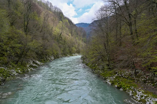 Dağ nehri ormanın içinden akar. Hızlı nehirde masmavi suyu olan güzel bir dağ manzarası. Dağların görkemli doğası. Yüksek kalite fotoğraf