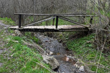 Karadağ ormanındaki nehir çağlayanı üzerindeki küçük ahşap köprü. Yüksek kalite fotoğraf