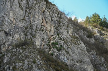 Sırbistan 'daki sınırlarıyla nehir kanyonu vadisi Uvac' ta özel doğa rezervi. Yüksek kalite fotoğraf