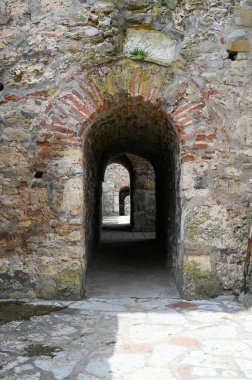 Sırbistan 'ın Tuna Nehri üzerindeki Ortaçağ Smederevo kalesi. Yüksek kalite fotoğraf