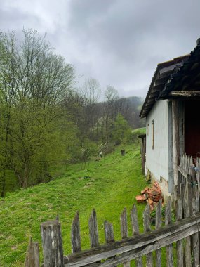 Bölge Belgrad - Bor ve Krepoljin - Despotovac karayollarının kesiştiği noktada, Petrovac na Mlavi 'ye 25 km, Pozarevac' a 62 km, Bor 'a 70 km ve Despotovac' a 35 km uzaklıkta yer alıyor. Şey...